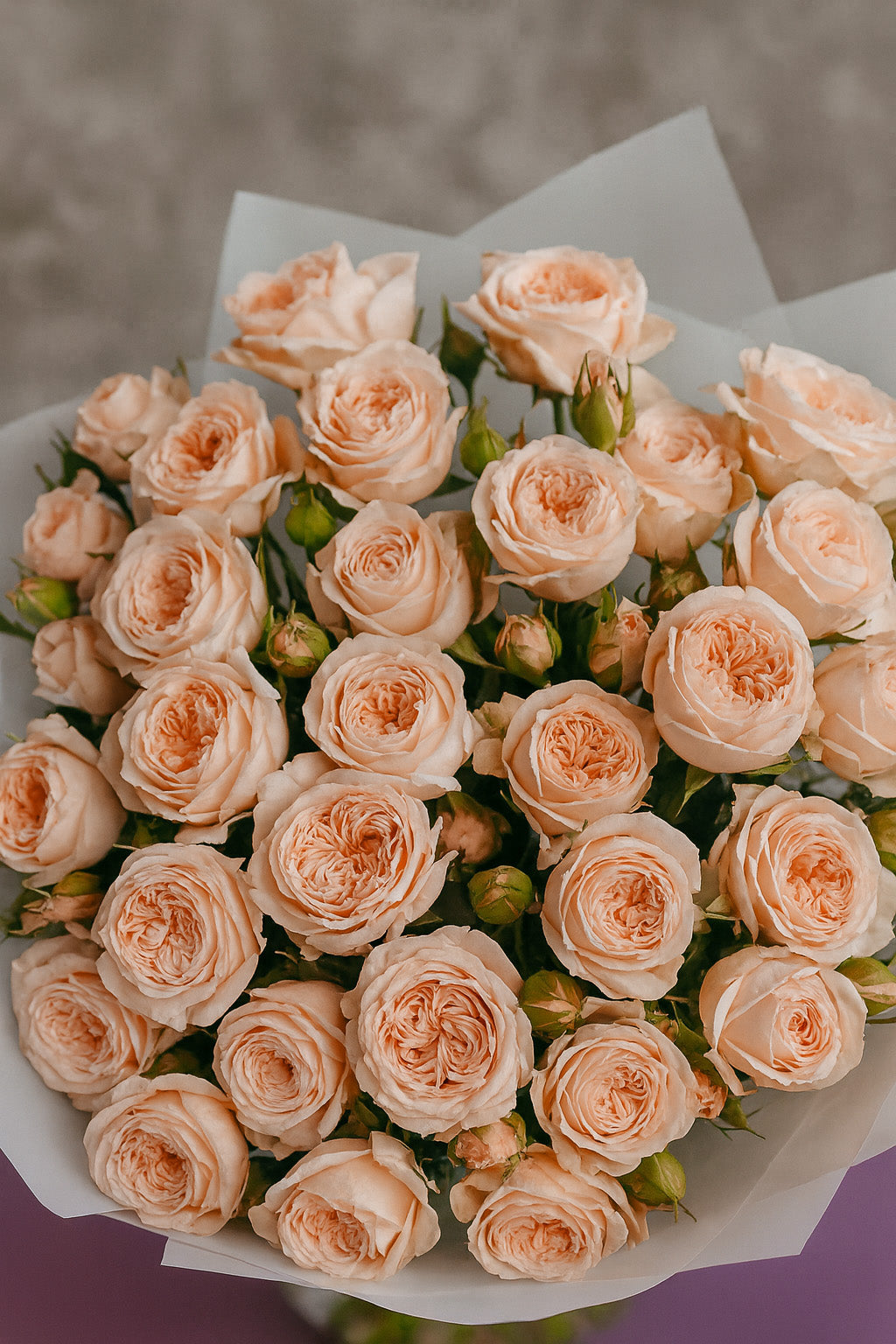 Bouquet of peach-colored roses with a blurred background
