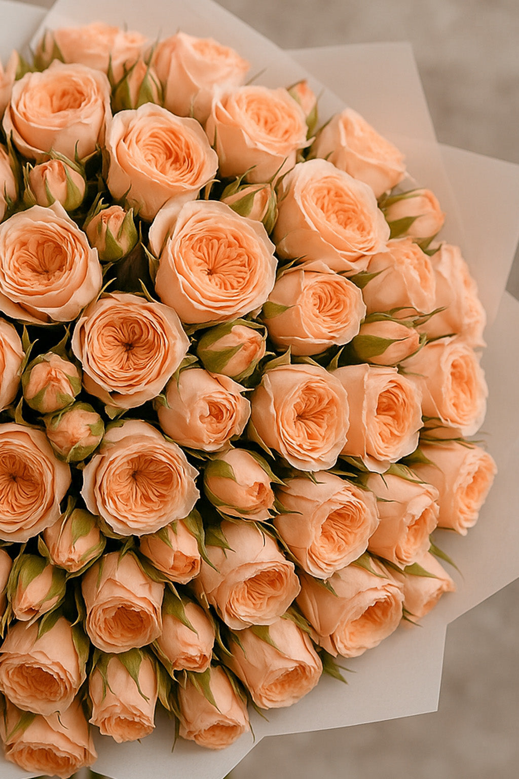 Bouquet of peach-colored roses on a neutral background