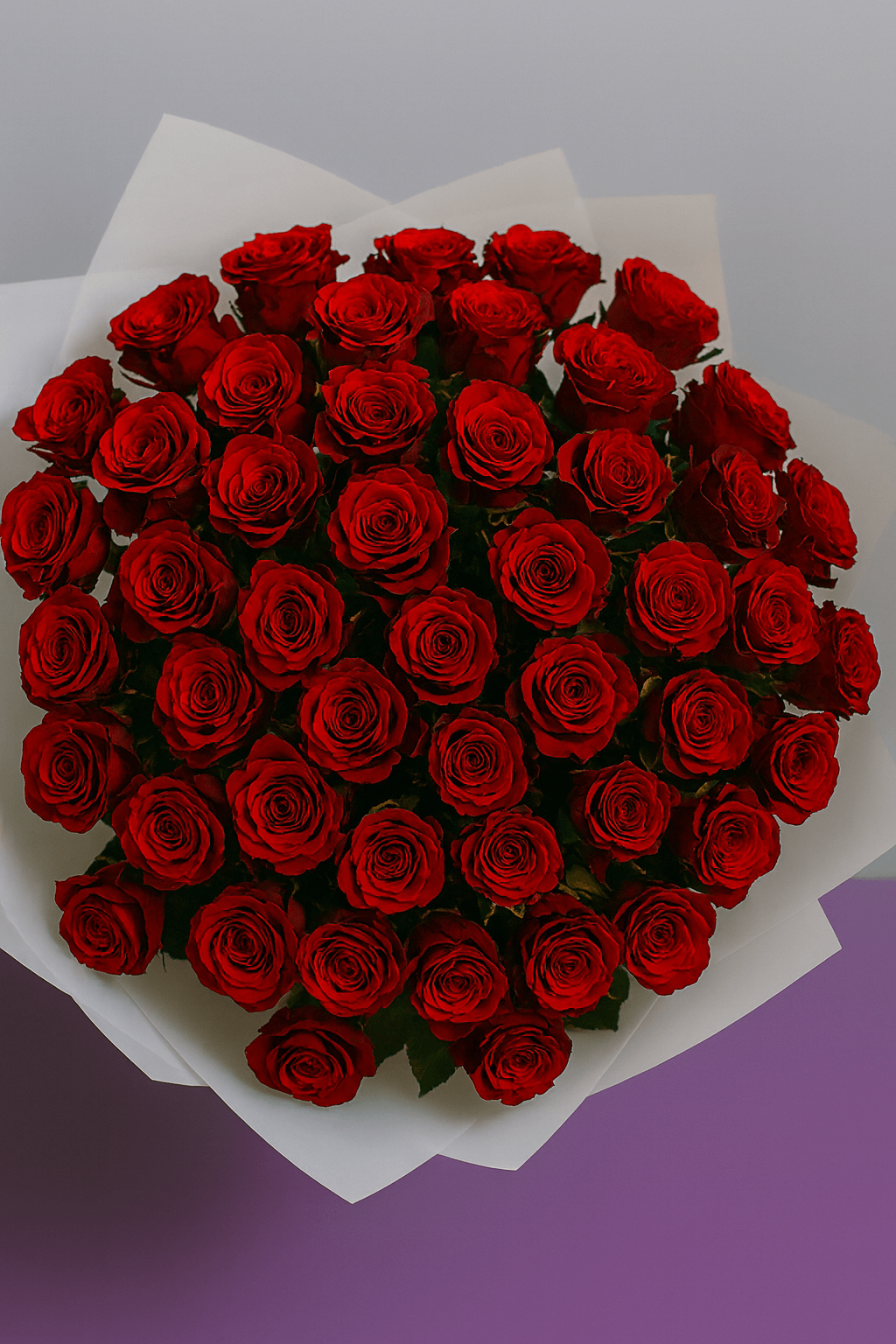 Bouquet of red roses on a white background